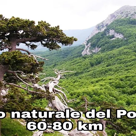 Casa Vacanze Borgo Vecchio * Scanzano Jonico