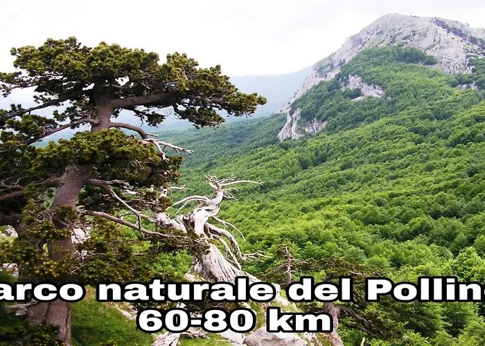 Borgo Vecchio * Scanzano Jonico